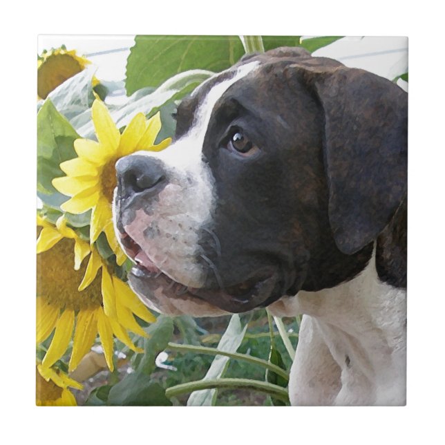 Boxer Puppy and Sunflowers Ceramic Tile (Front)