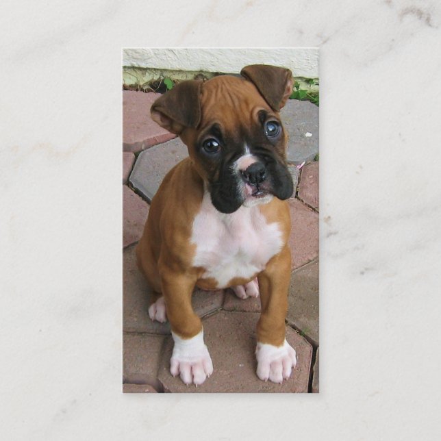 Boxer puppy business cards (Front)