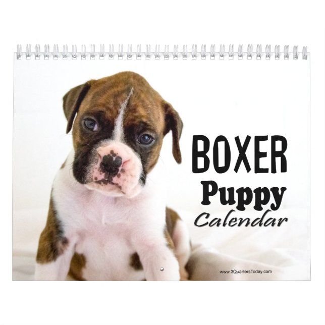 Boxer Puppy Calendar (Cover)