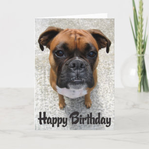 Boxer Puppy Dog  Happy Birthday Card  - Verse