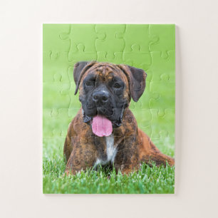 Boxer Puppy Dog Jigsaw Puzzle