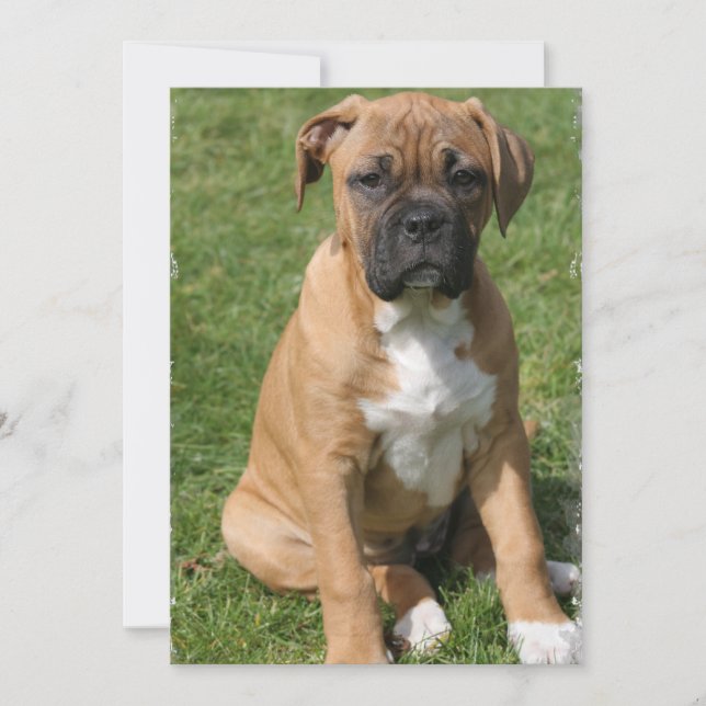 Boxer Puppy Invitation (Front)