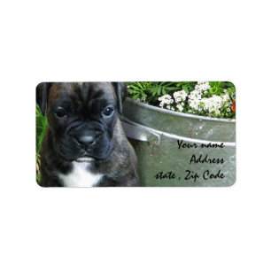 Boxer puppy label