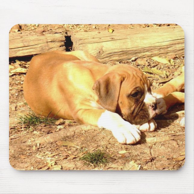 Boxer puppy mousepad (Front)
