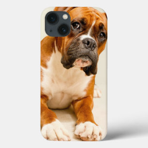 Boxer puppy on ivory cream backdrop. iPhone 13 case