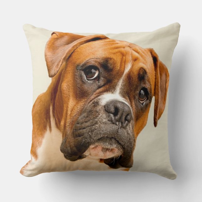 Boxer puppy on ivory cream backdrop. cushion (Front)