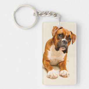 Boxer puppy on ivory cream backdrop. key ring