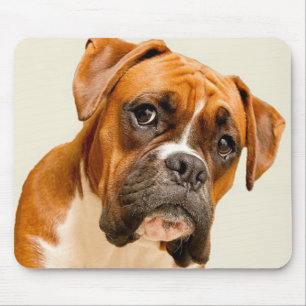 Boxer puppy on ivory cream backdrop. mouse pad