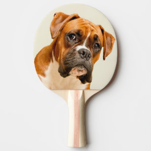 Boxer puppy on ivory cream backdrop. ping pong paddle