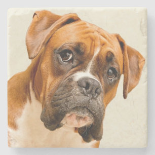 Boxer puppy on ivory cream backdrop. stone coaster