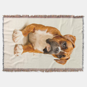 Boxer puppy on ivory cream backdrop. throw blanket