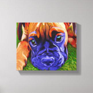 Boxer Puppy on Wrapped Canvas