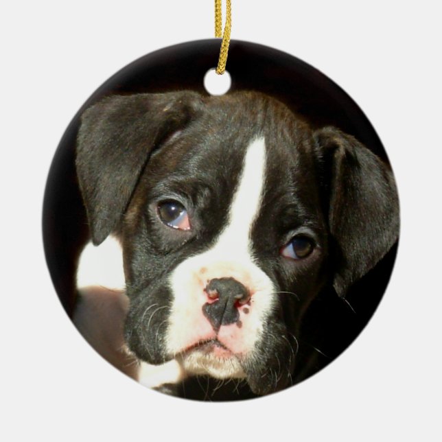 Boxer puppy ornament (Front)