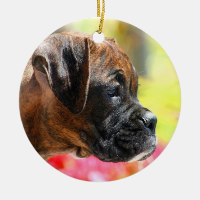 Boxer puppy ornament (Front)