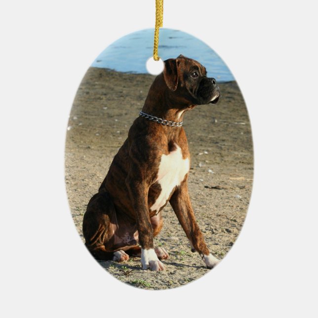 Boxer puppy oval ornament (Front)