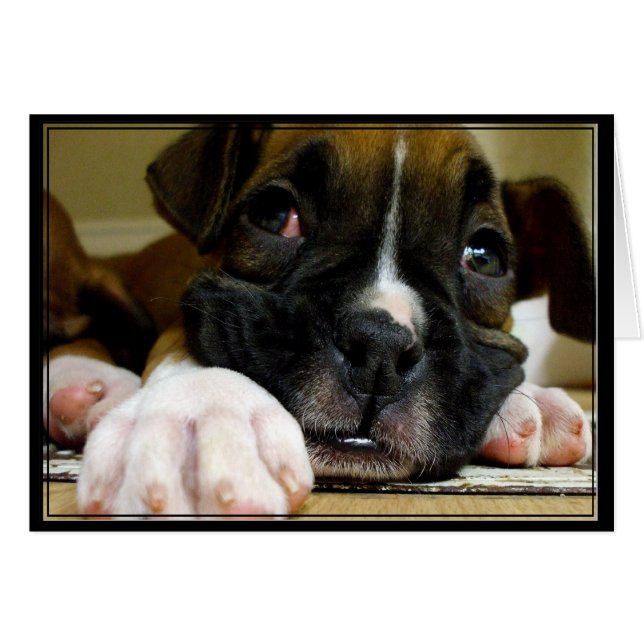 Boxer Puppy Postcard (Front Horizontal)