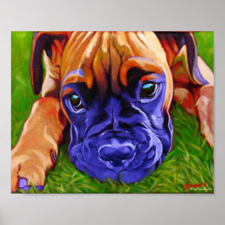 Boxer Puppy Poster