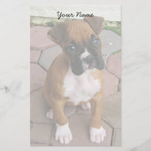Boxer puppy stationary stationery