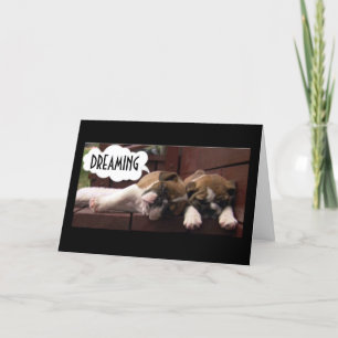 BOXER PUPS WISH YOU WISH *THE BEST BIRTHDAY EVER** CARD