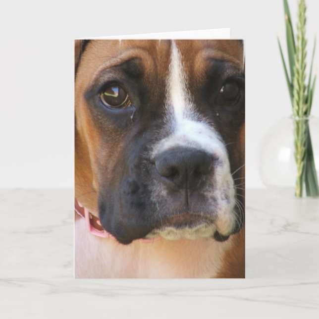 Boxer Rescue Greeting Card (Front)