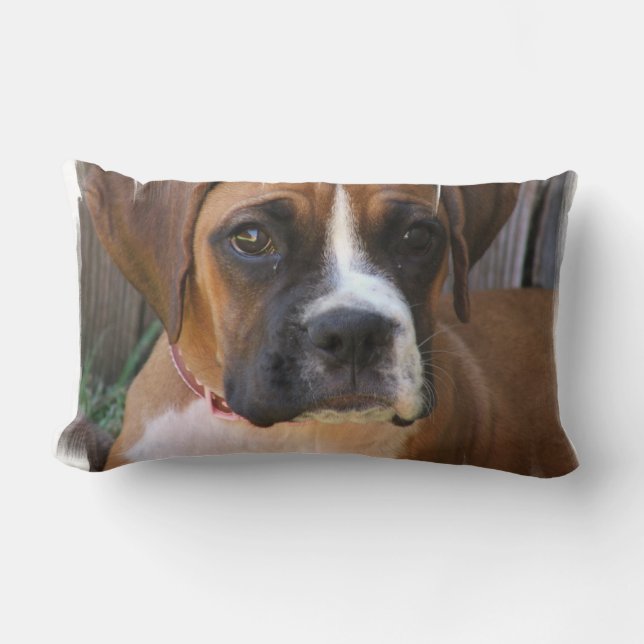 Boxer Rescue Pillow (Front)