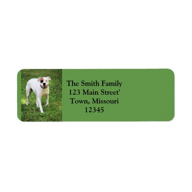 Boxer Return Address Label (Front)