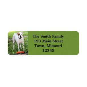Boxer Return Address Label