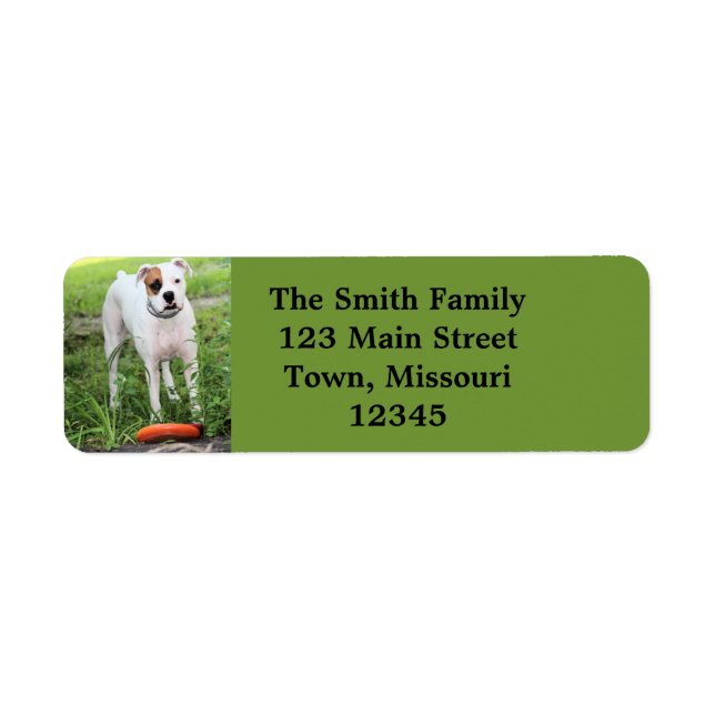 Boxer Return Address Label (Front)