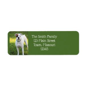 Boxer Return Address Label