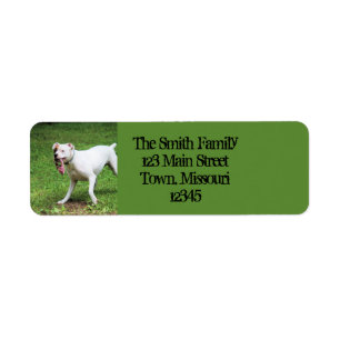 Boxer Return Address Label
