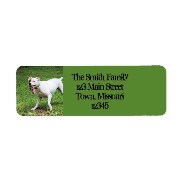 Boxer Return Address Label (Front)