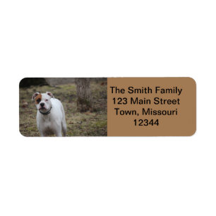Boxer Return Address Label