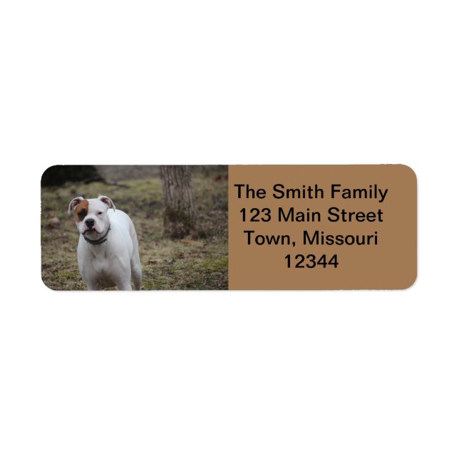 Boxer Return Address Label (Front)