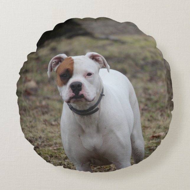 Boxer Round Cushion (Front)
