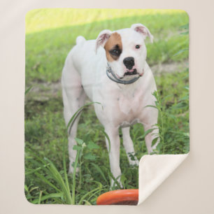 Boxer Sherpa Blanket