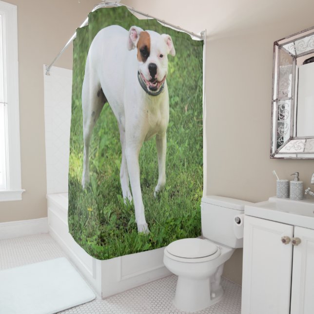 Boxer Shower Curtain (In Situ)