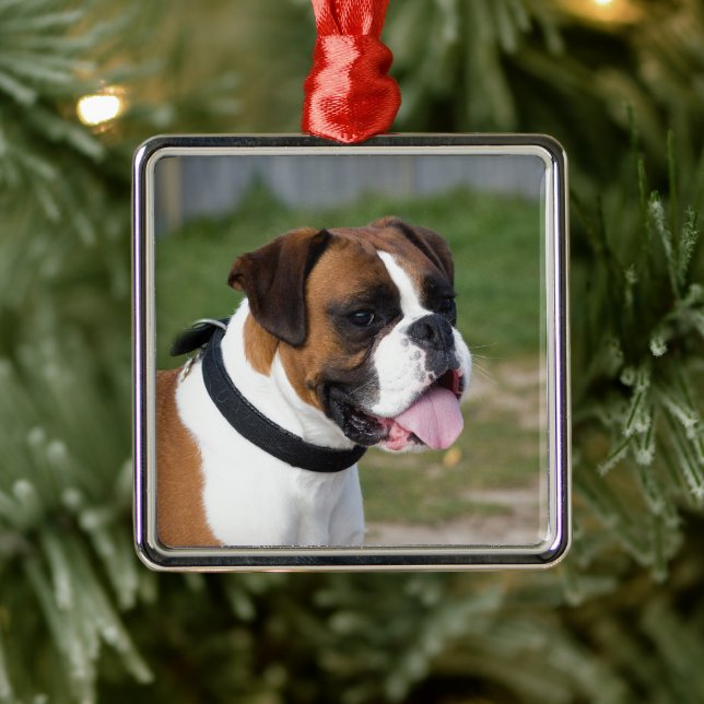 Boxer Sitting Metal Ornament (Tree)