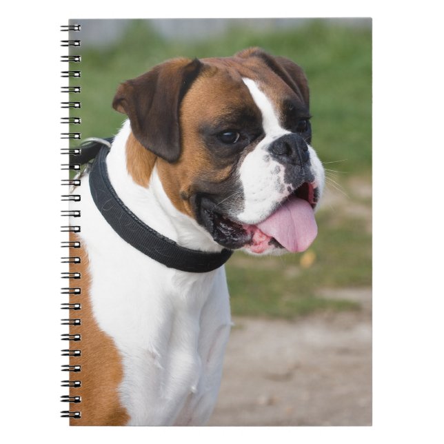 Boxer Sitting Notebook (Front)