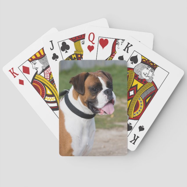 Boxer Sitting Playing Cards (Back)