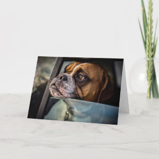 Boxer Smells a BBQ card