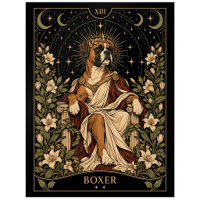Boxer, Starlit Tarot Art