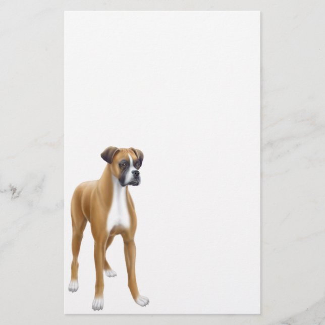 Boxer Stationery (Front)
