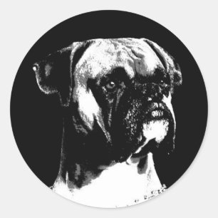 Boxer sticker