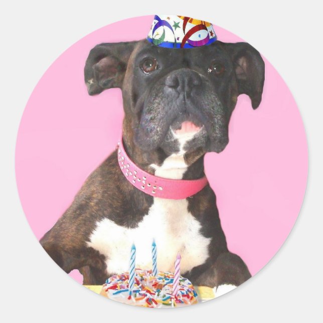 Boxer stickers (Front)