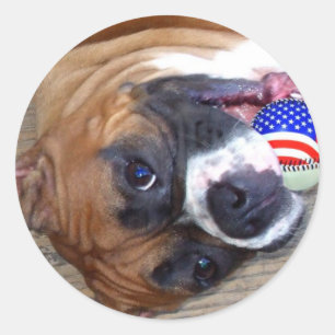 Boxer stickers