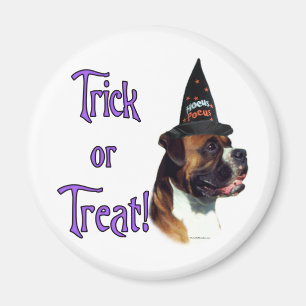 Boxer Trick Magnet
