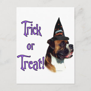 Boxer Trick Postcard