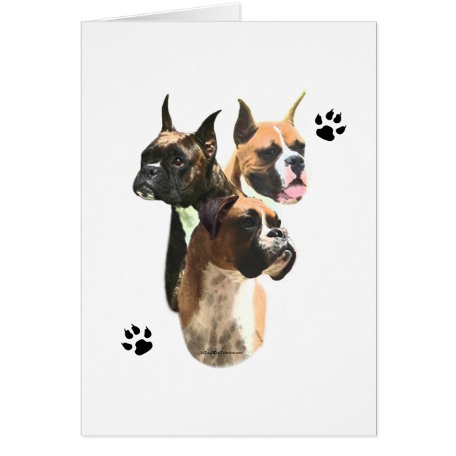 Boxer Trio (Front)