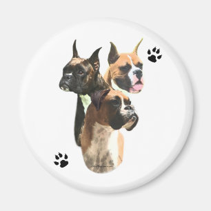 Boxer Trio - Magnet