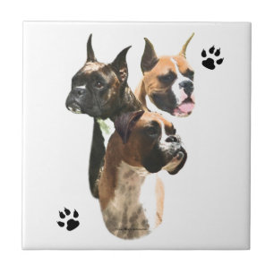 Boxer Trio Tile